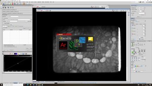 Thumbnail image of Nikon Eclipse Ti/VT-iSIM Confocal Microscope System w/ PC & Software Lab