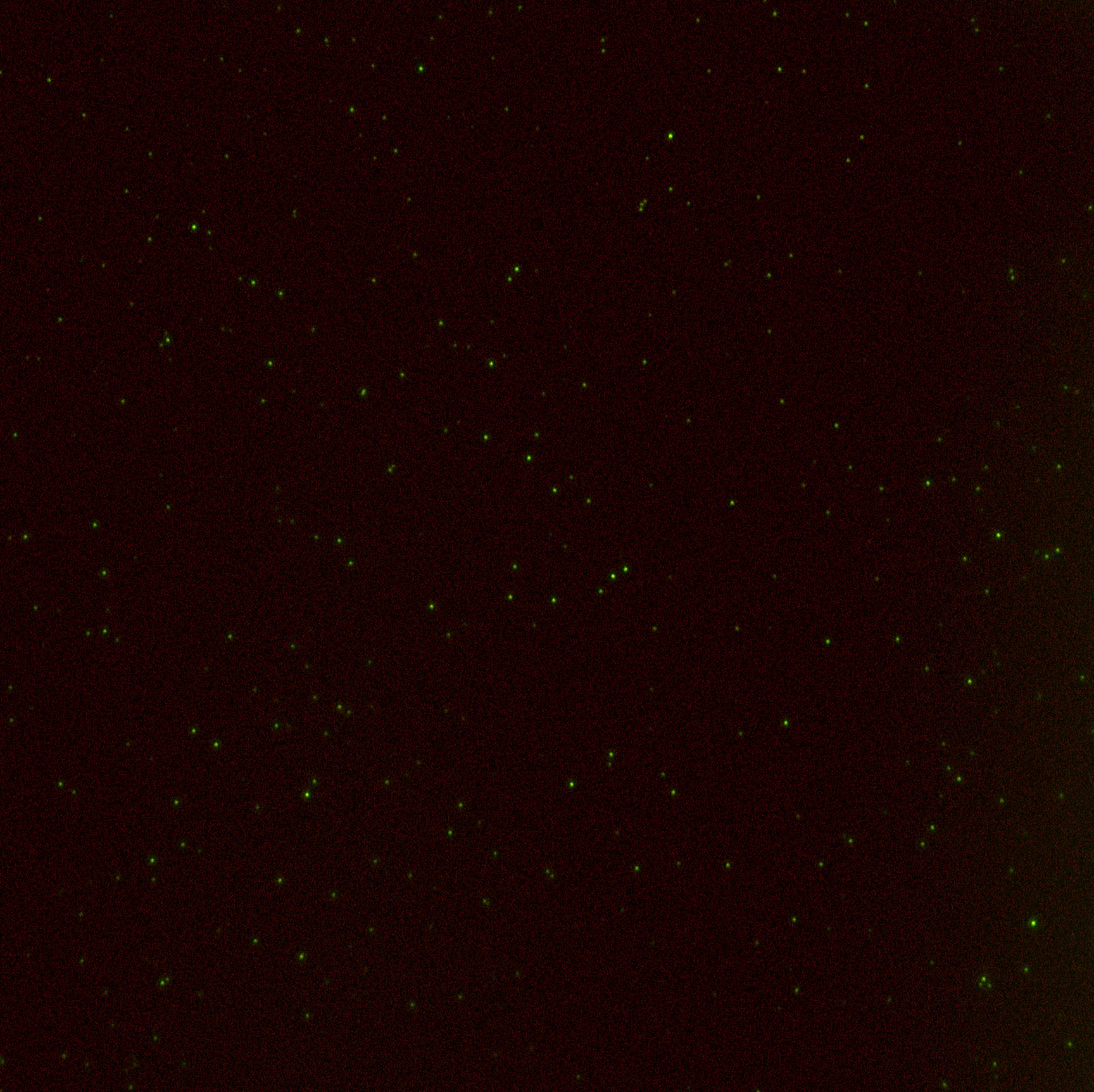 Image of Zeiss ELYRA PS.1 Confocal Microscope System w/ Observer.Z1, PC, Software & Optic
