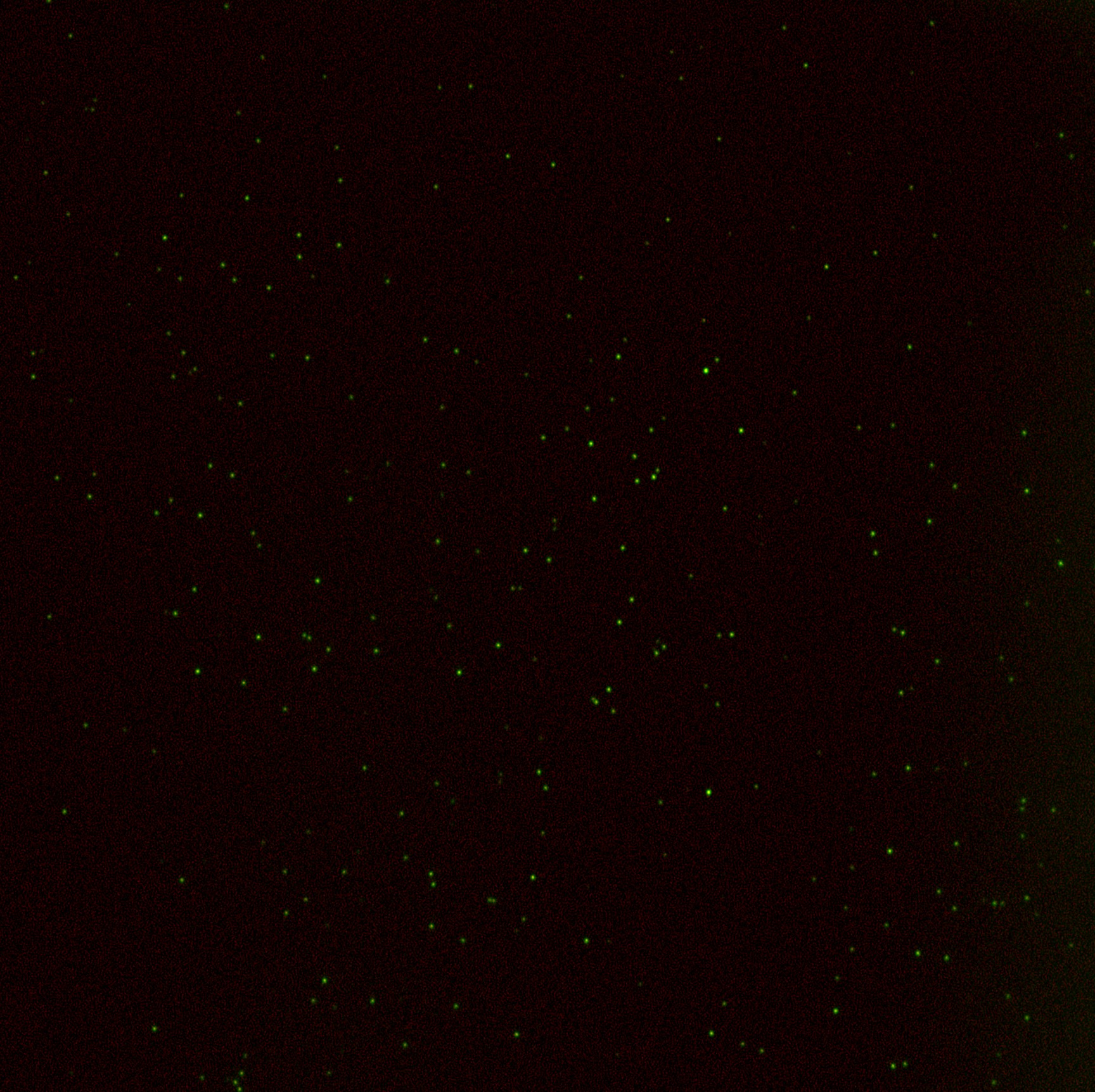 Image of Zeiss ELYRA PS.1 Confocal Microscope System w/ Observer.Z1, PC, Software & Optic