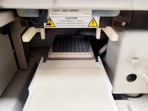 Thumbnail image of Beckman Coulter CEQ 8000 Genetic Analysis System w/ PC & Software Lab