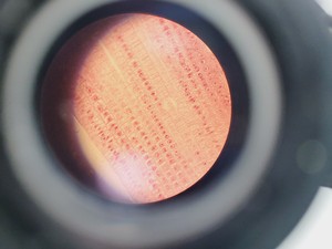 Thumbnail image of Nikon EFD-3 Inverted Microscope w/ Zeiss Axiocam & 5 x Objectives 4/10/20/40 Flu