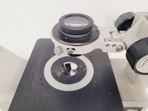 Thumbnail image of Nikon Inverted Microscope