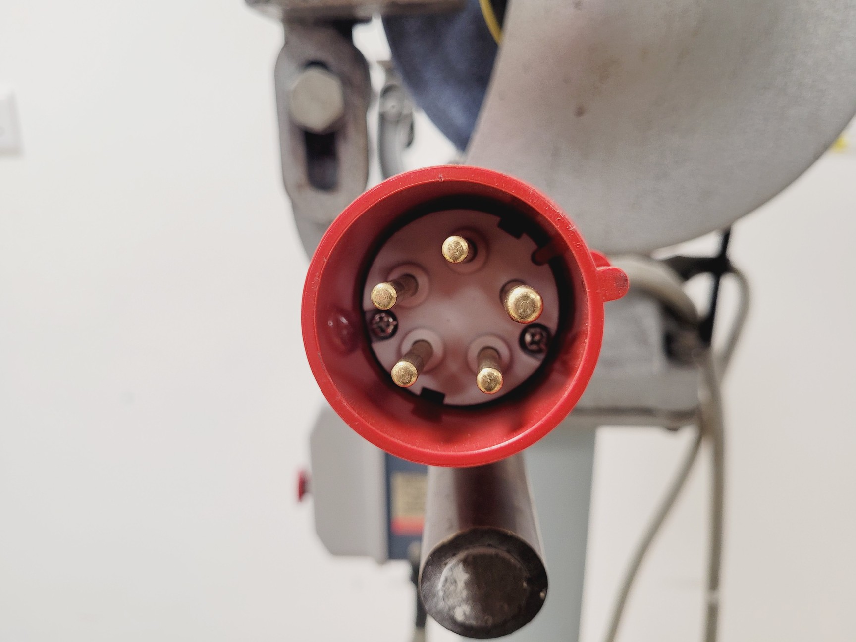 Image of Wolf Model TG8HG 8'' Double Ended Pedestal Grinder