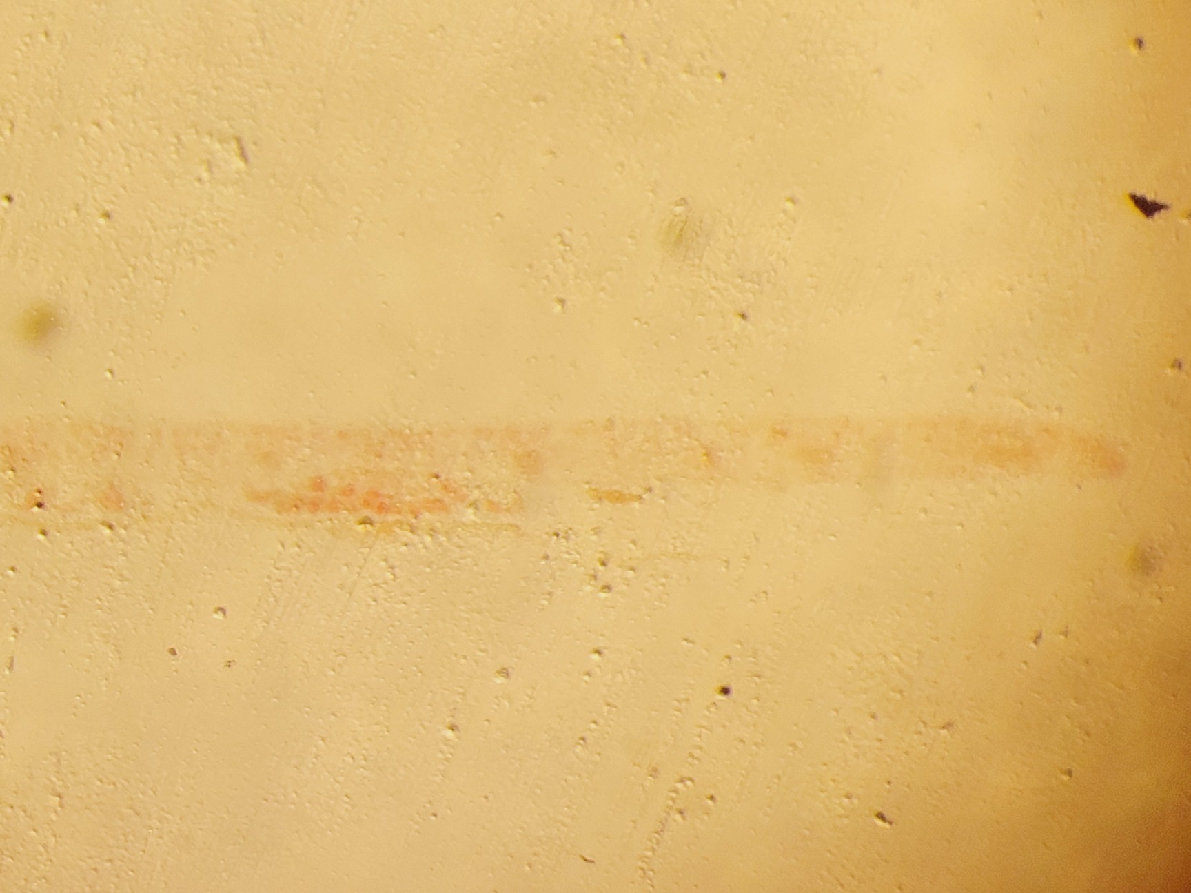 Image of Wild Heerbrugg M7A Stereo Microscope W/ PSU Lab