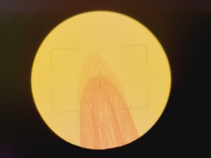 Thumbnail image of Zeiss Axiovert 135 Inverted Microscope w/ 10x, 40x & 100x Objectives Lab