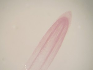 Thumbnail image of Carl Zeiss Stereo Microscope w/ PSU Lab