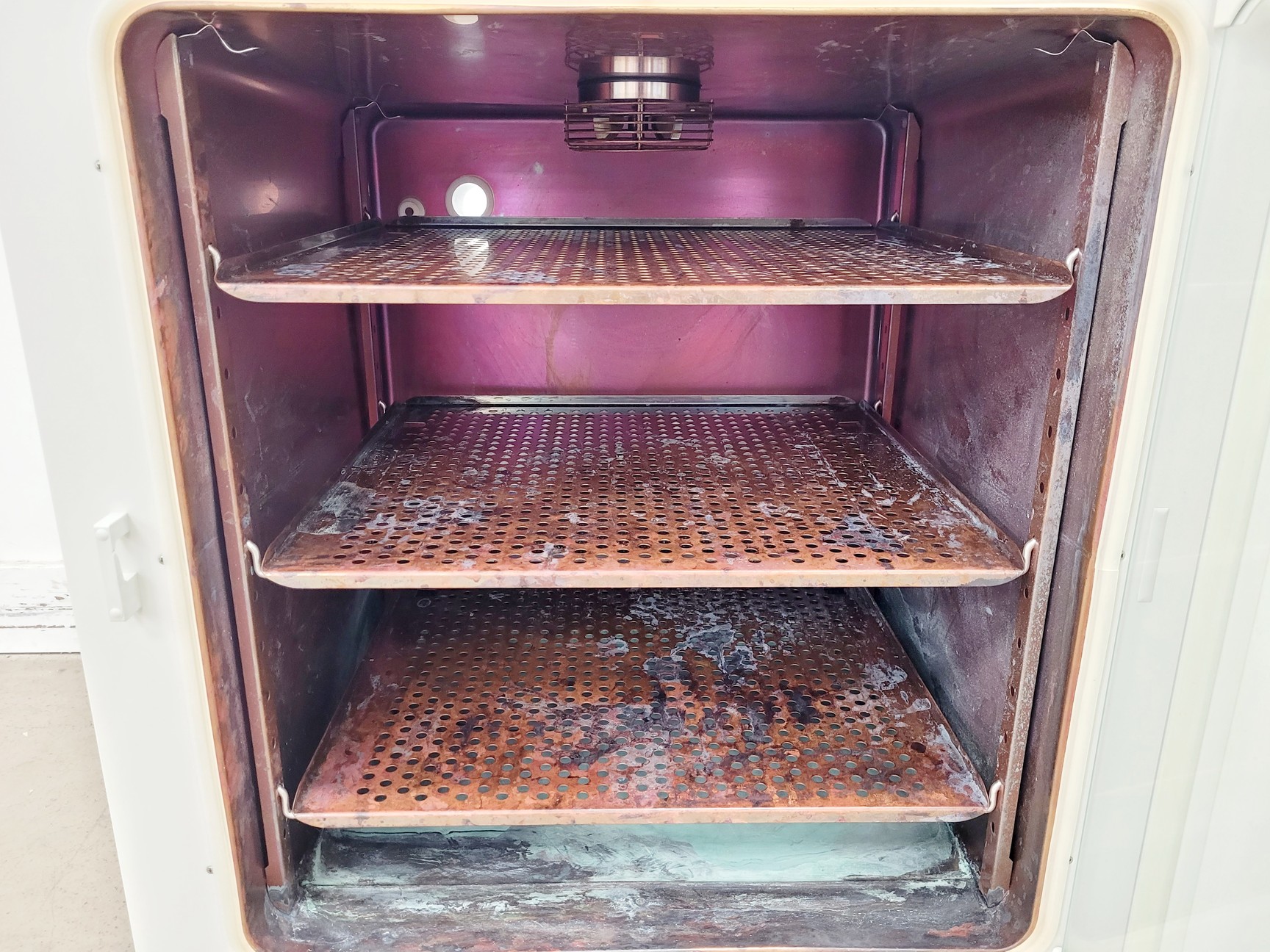 Image of Thermo Scientific HERACell 240i CO2 Incubator Lab