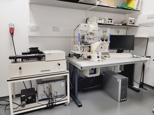 Image of Zeiss Axiovert 200M Confocal Microscope System with LSM510 META & Multi-Laser