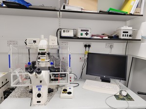 Thumbnail image of Zeiss Axiovert 200M Confocal Microscope System with LSM510 META & Multi-Laser