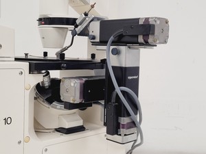 Thumbnail image of Carl Zeiss Axiovert 10 Inverted Microscope w/ Plan-NEOFLUER 100X/1,30 Oil 44 40 