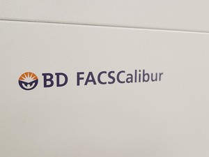 Thumbnail image of BD FACSCalibur Flow Cytometer & Transformer System Lab