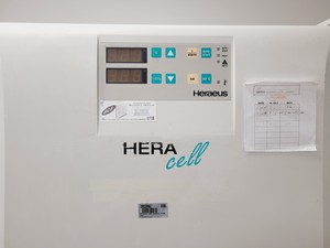 Thumbnail image of Kendro Heraeus HERAcell CO2 Incubator Double Stack