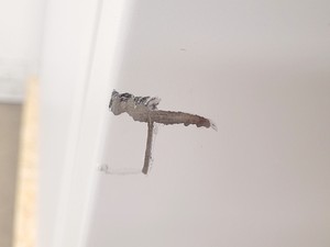 Thumbnail image of ESCO Airstream AC2-4G1 Class II Biohazard Safety Cabinet Lab
