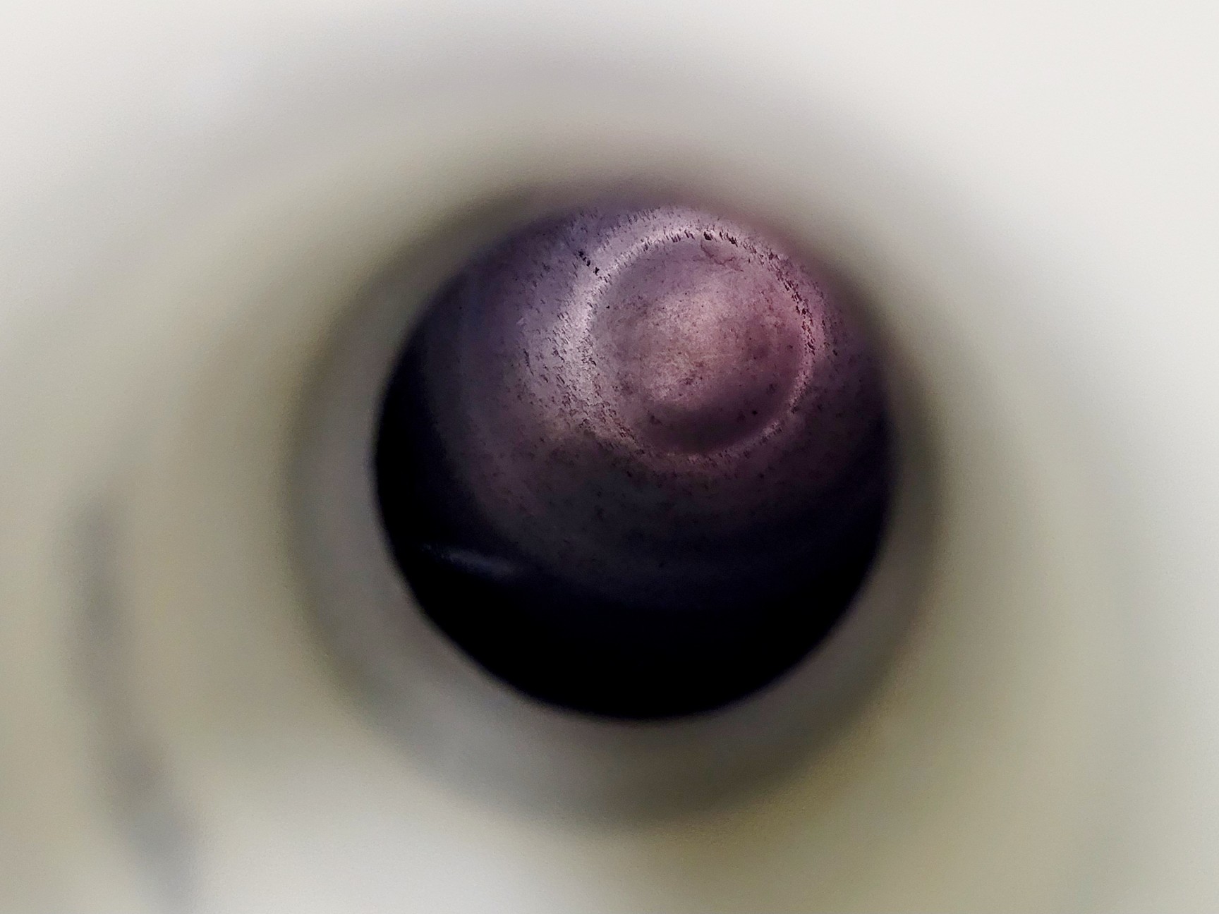 Image of Inoxcva Cryoseal IN50 Liquid Nitrogen Cryogenic Container/Dewar/Tank