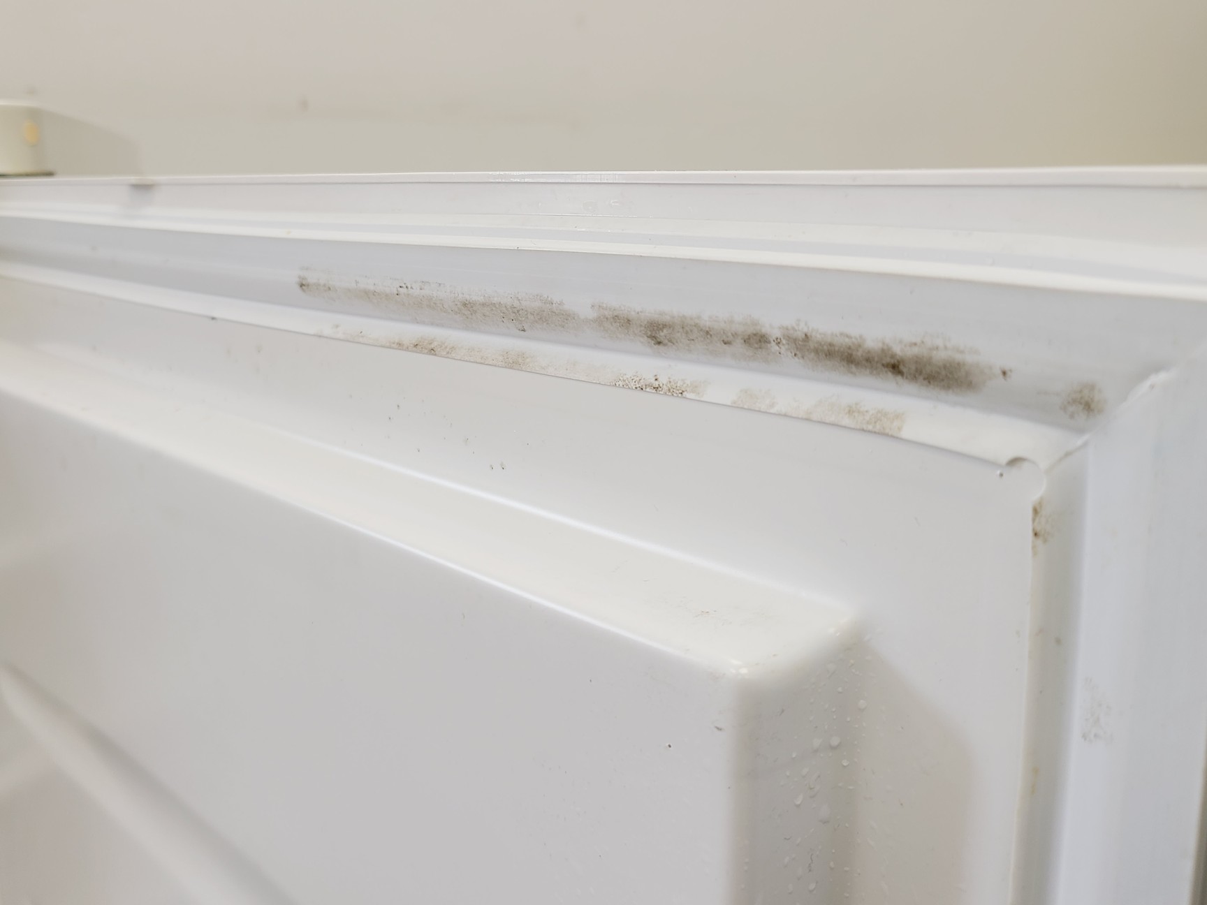 Image of BioCold Under Counter Laboratory Freezer