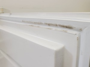 Thumbnail image of BioCold Under Counter Laboratory Freezer