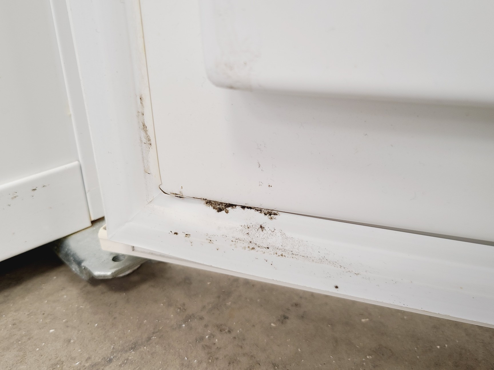Image of BioCold Under Counter Laboratory Freezer