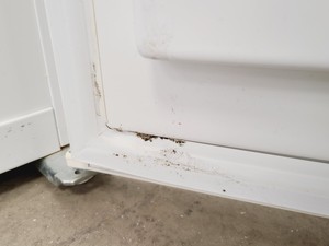 Thumbnail image of BioCold Under Counter Laboratory Freezer