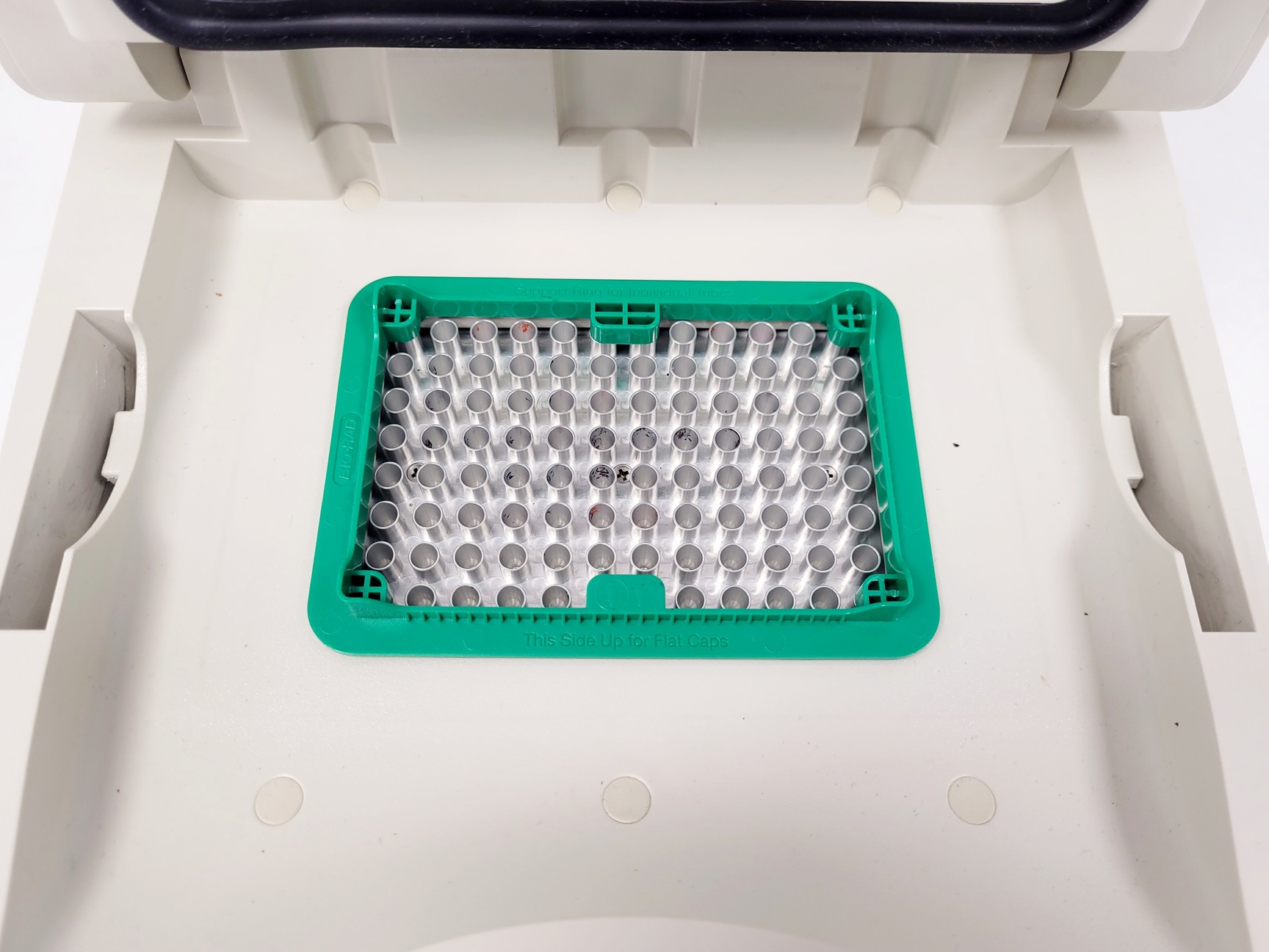 Image of BIO-RAD T100 Thermal Cycler (2020) Lab