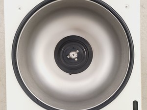 Thumbnail image of Thermo Scientific Heraeus Megafuge 40 Centrifuge w/ 75003017 Rotor 4200RPM 