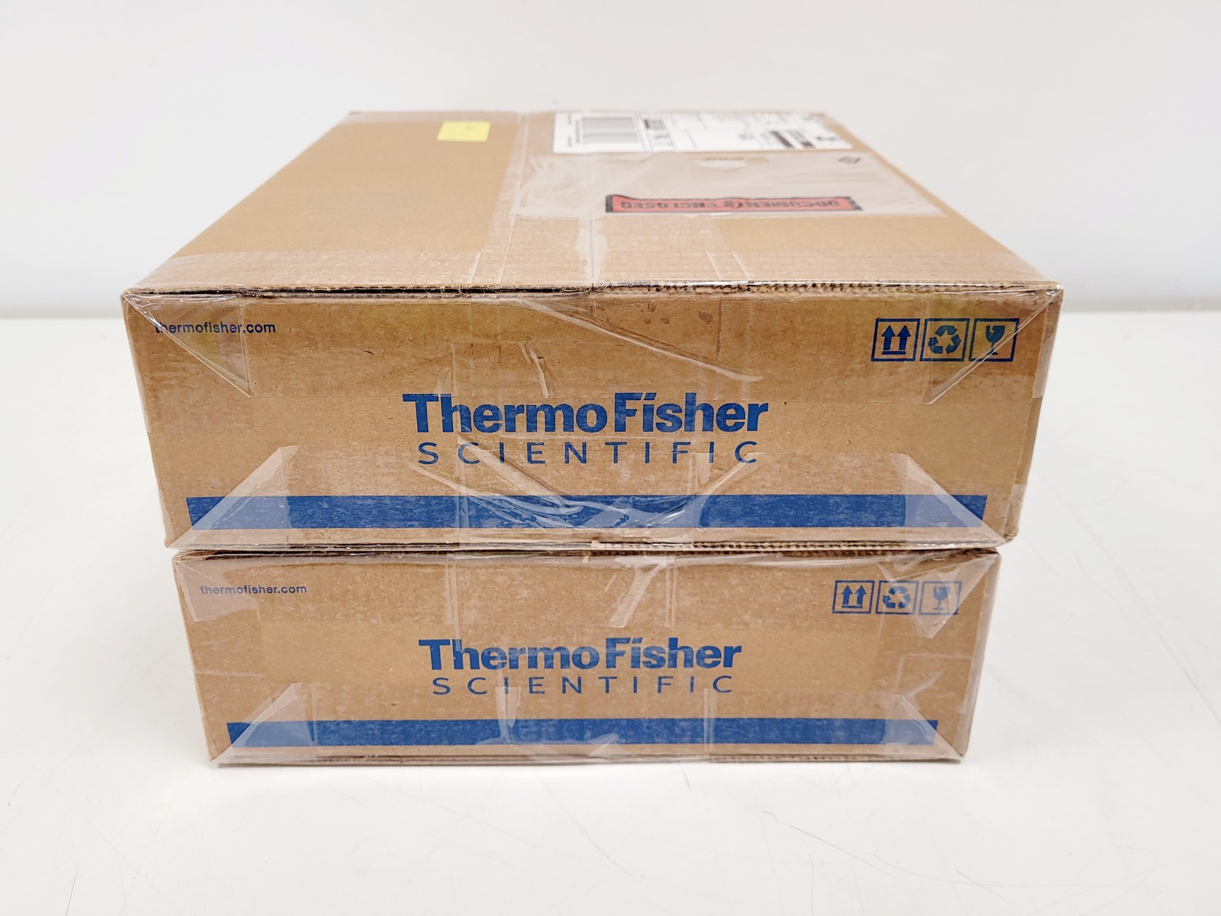 Image of 2 x 4L Boxes of Thermo Fisher Scientific Lab Armour Beads