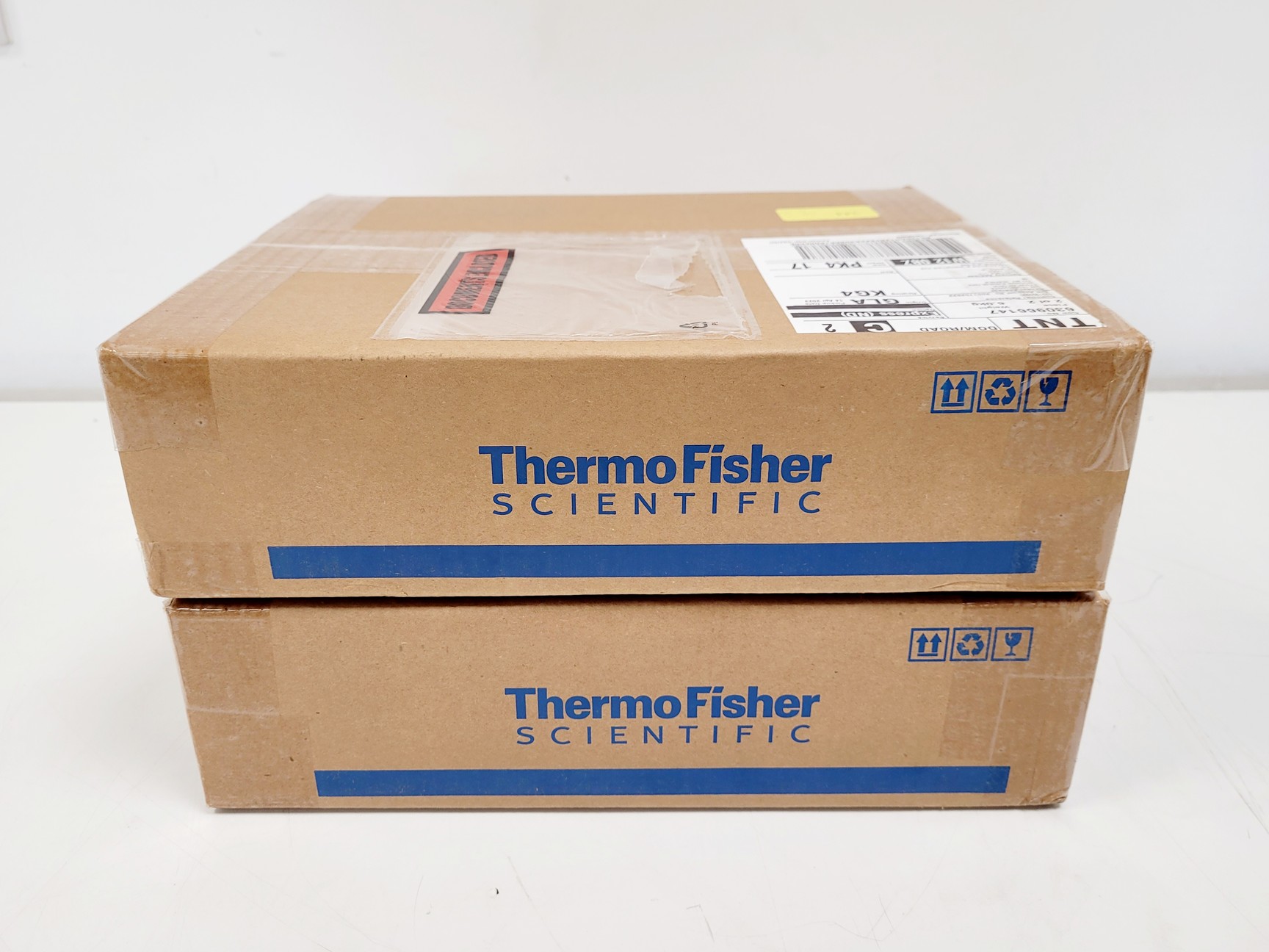 Image of 2 x 4L Boxes of Thermo Fisher Scientific Lab Armour Beads