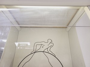 Thumbnail image of Labcaire Systems PCR 6 Benchtop PCR Workstation UV Lab 
