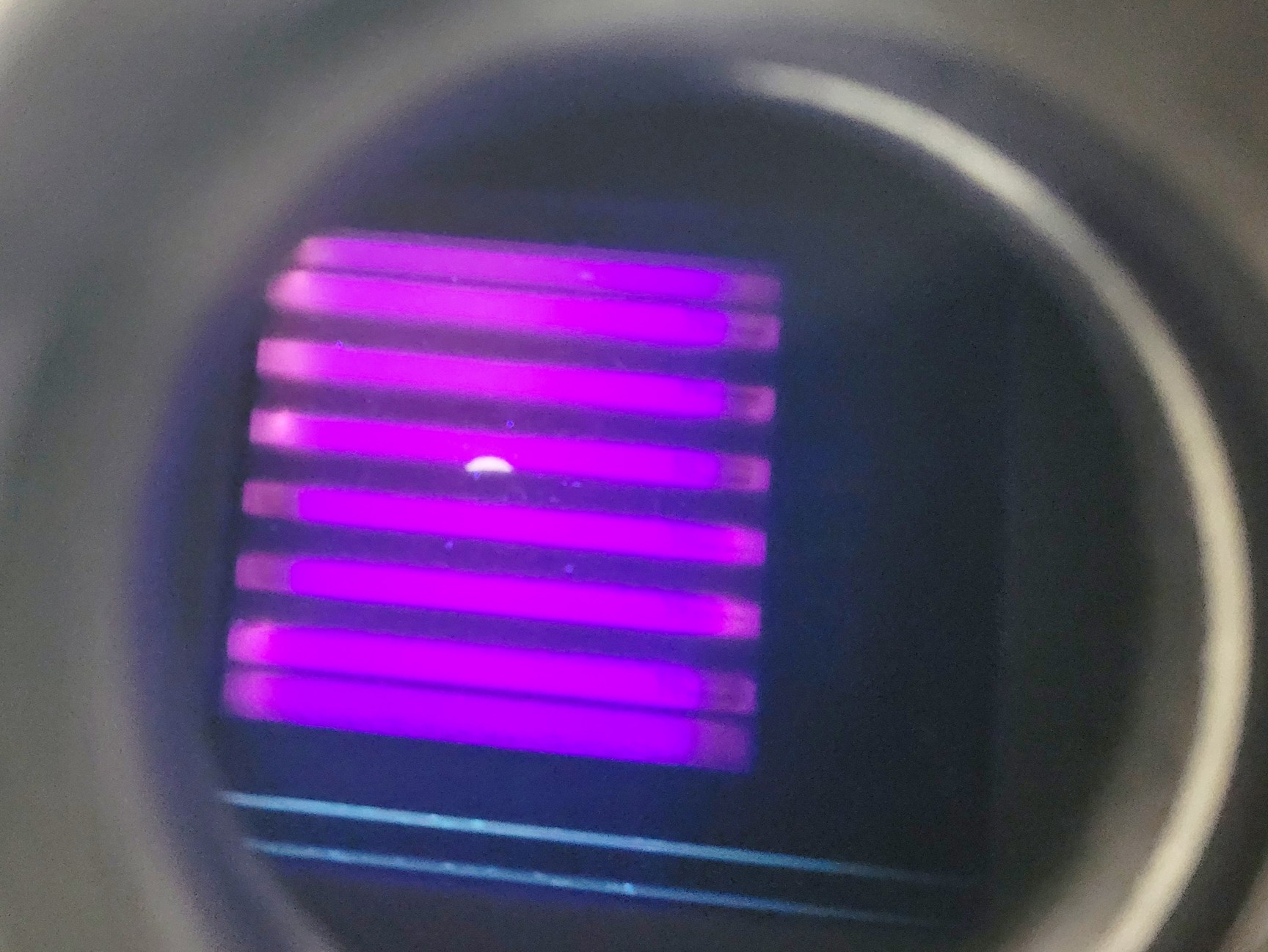 Image of Bio-Rad ChemiDoc MP Imaging System Universal Hood III w/ Image Lab Software