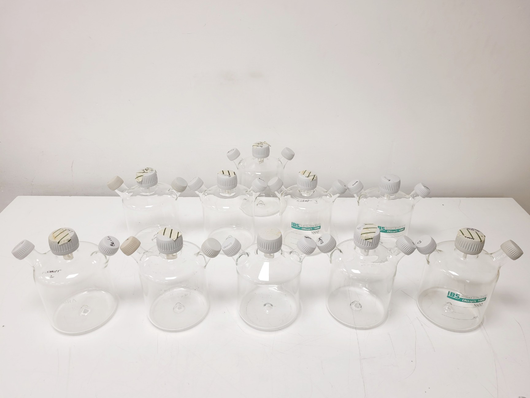 Image of 30 x Glass Cell Culture Spinner Flasks & Magnetic Impeller Stirrer Shafts