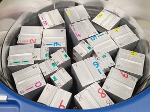 Thumbnail image of Taylor-Wharton K-Series 24K Cryostorage System