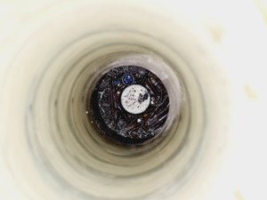 Thumbnail image of Statebourne Cryogenics SXR 34 Nitrogen Dewar w/ Trolley