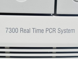Thumbnail image of Applied Biosystems 7300 Real-Time PCR System Lab