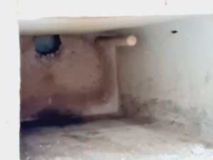 Thumbnail image of Carbolite Muffle Furnace - AAF 11/3 1100°C 