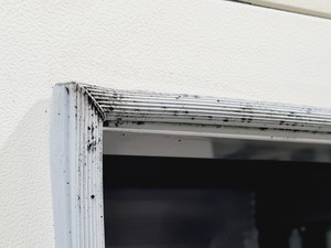 Thumbnail image of Snijders ECD01E Climate Chamber Lab