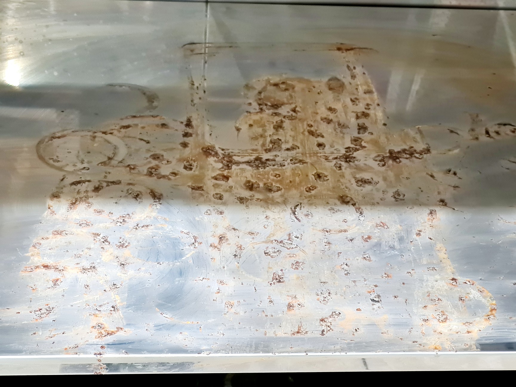 Image of Source BioScience Controlled Environment Storage Chamber Model: 5804-5