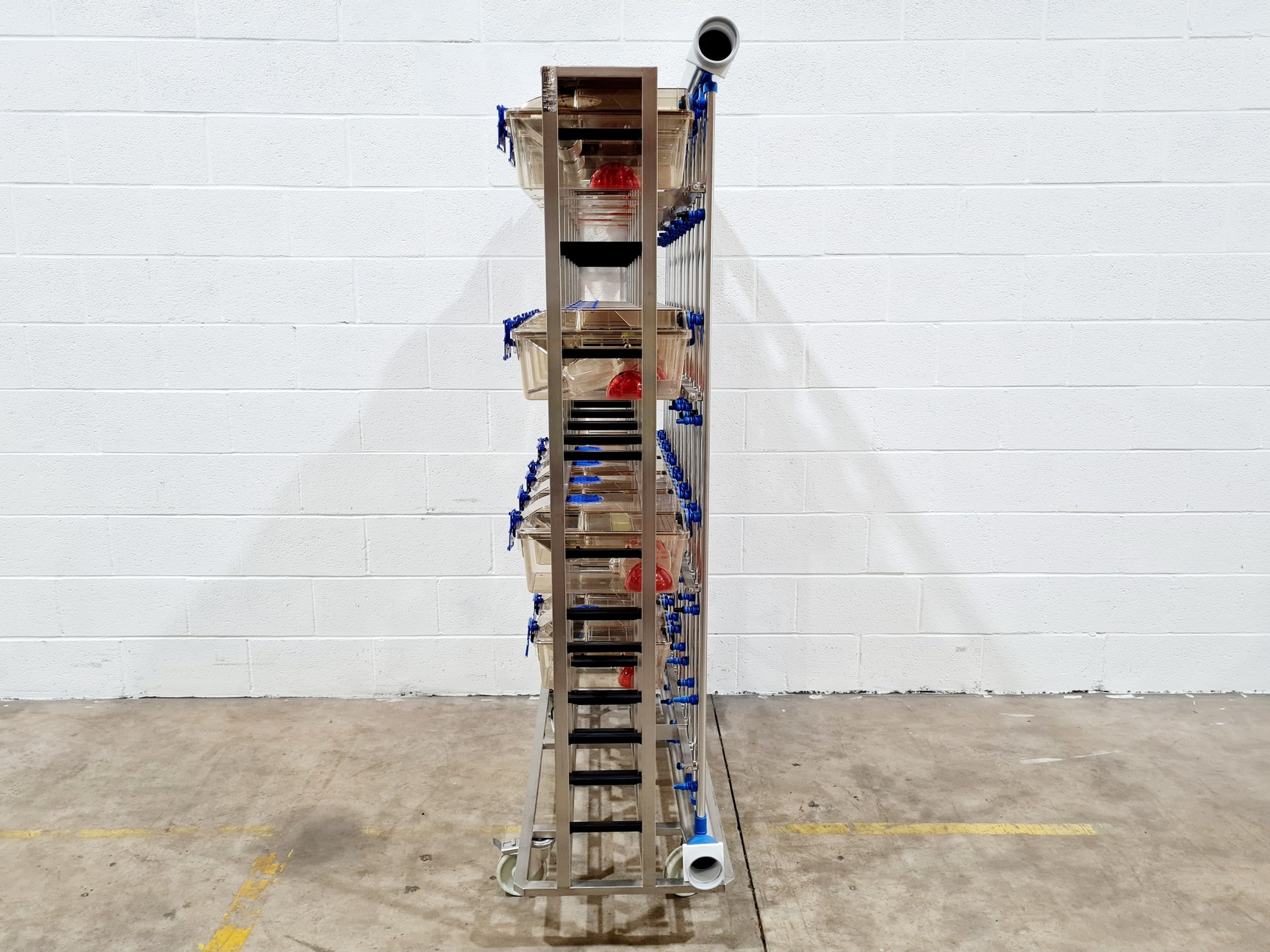 Image of Techniplast - BOXUNEFUK with 2 x Individually Ventilated Cage Rack