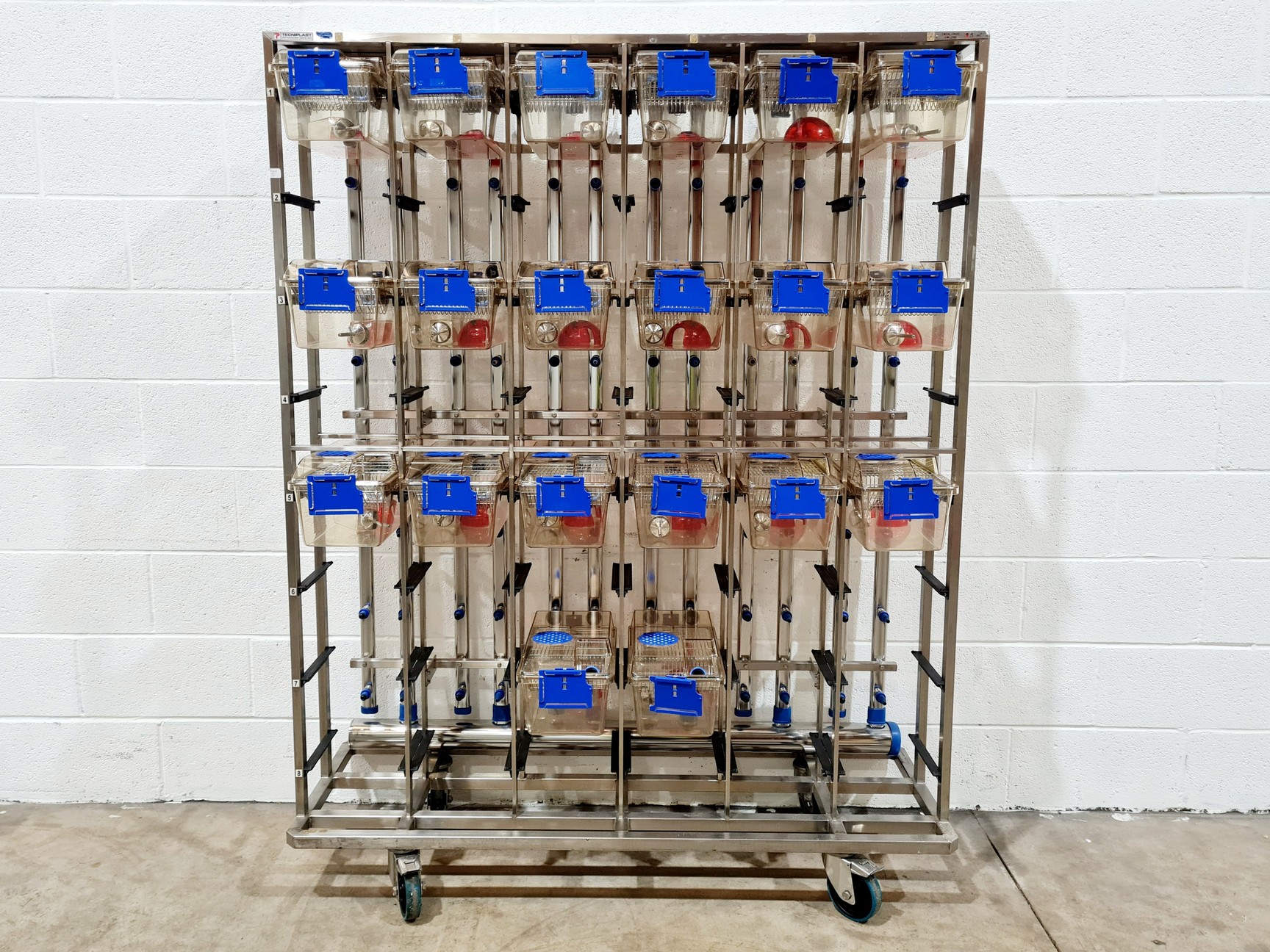 Image of Techniplast - BOXUNEFUK with 2 x Individually Ventilated Cage Rack