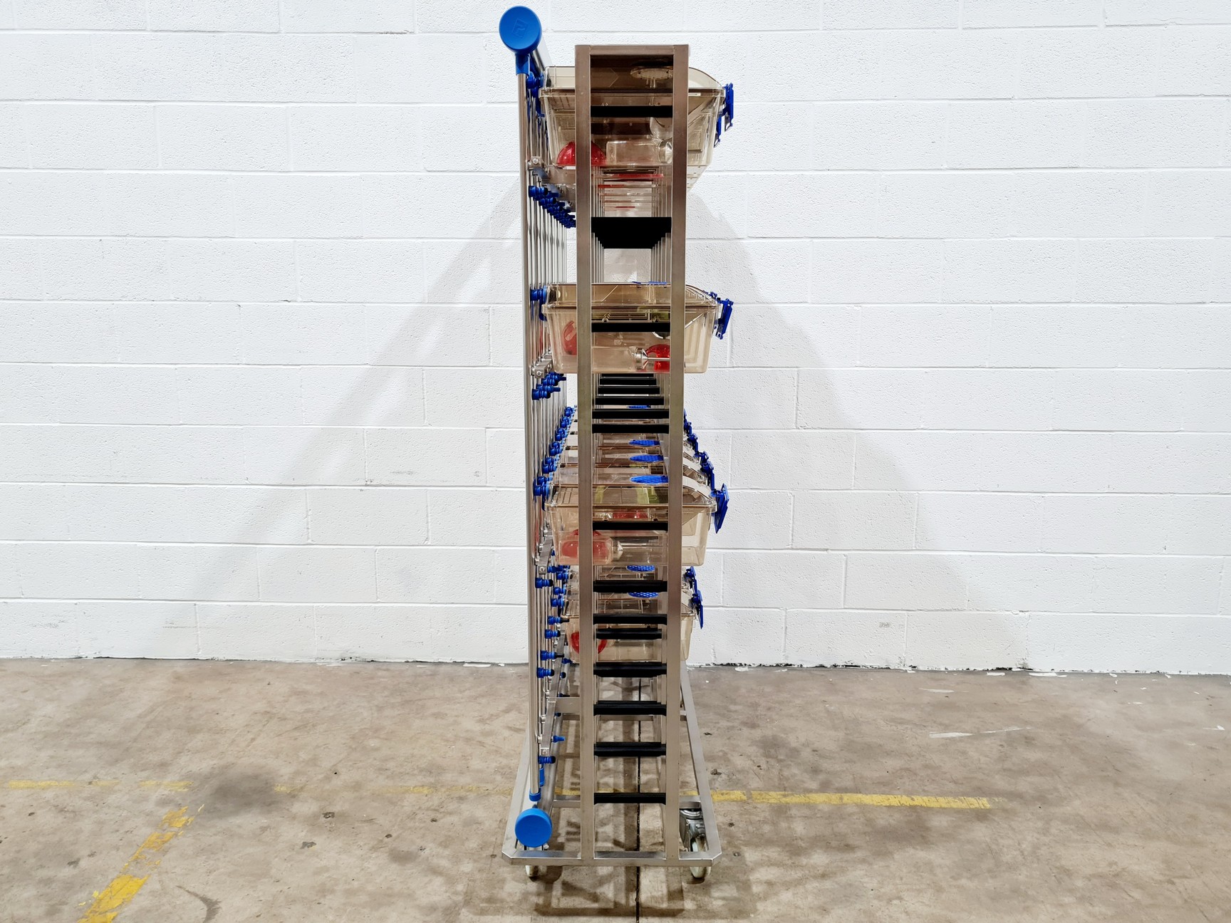 Image of Techniplast - BOXUNEFUK with 2 x Individually Ventilated Cage Rack