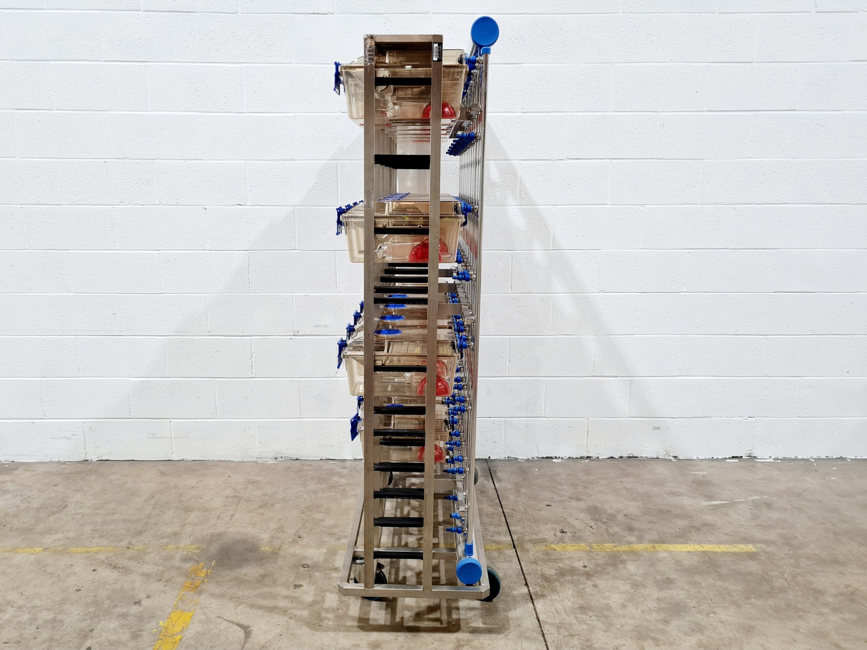 Image of Techniplast - BOXUNEFUK with 2 x Individually Ventilated Cage Rack