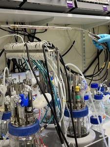 Image of Eppendorf DASGIP 4-Fold Parallel Bioreactor System w/ Software 