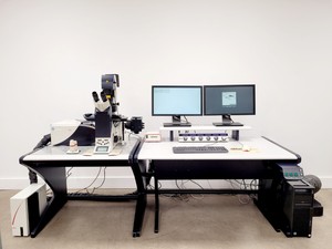 Thumbnail image of Leica TCS SP5 Confocal Laser Scanning Microscope System (DMI6000 CS)