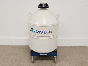 Image of MVE Lab 30 Cryogenic Liquid Nitrogen Dewar w/ Trolley Base