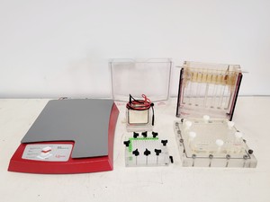 Image of Hoefer 1D Protein Separation & Blotting System (TE77X, SE600, SE250, ImmunoBlot)