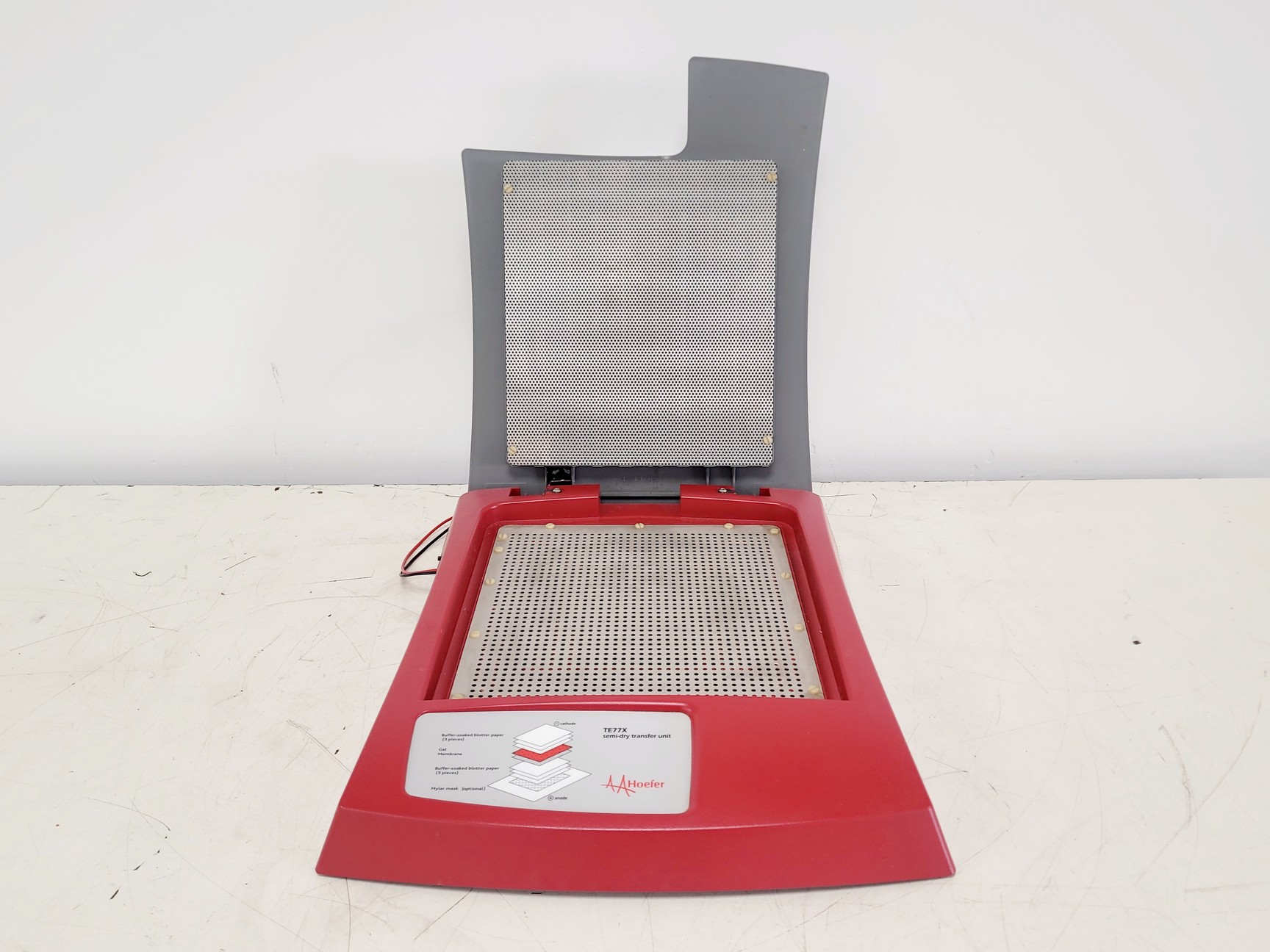 Image of Hoefer 1D Protein Separation & Blotting System (TE77X, SE600, SE250, ImmunoBlot)