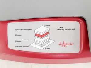 Thumbnail image of Hoefer 1D Protein Separation & Blotting System (TE77X, SE600, SE250, ImmunoBlot)