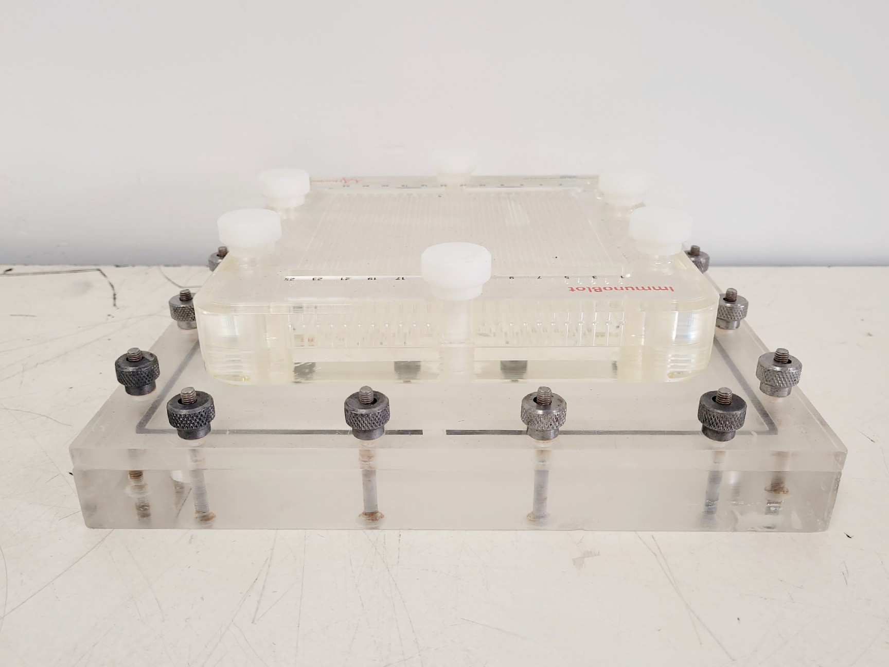 Image of Hoefer 1D Protein Separation & Blotting System (TE77X, SE600, SE250, ImmunoBlot)