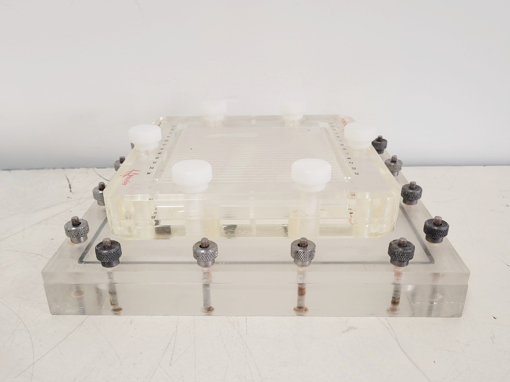 Image of Hoefer 1D Protein Separation & Blotting System (TE77X, SE600, SE250, ImmunoBlot)