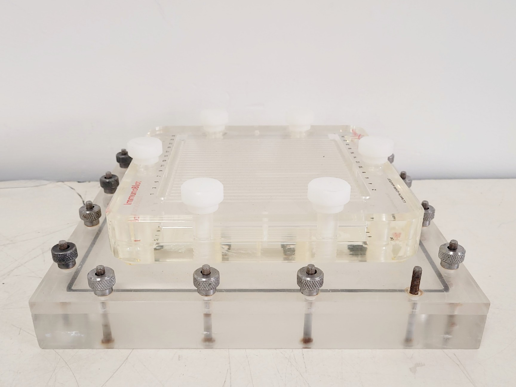 Image of Hoefer 1D Protein Separation & Blotting System (TE77X, SE600, SE250, ImmunoBlot)