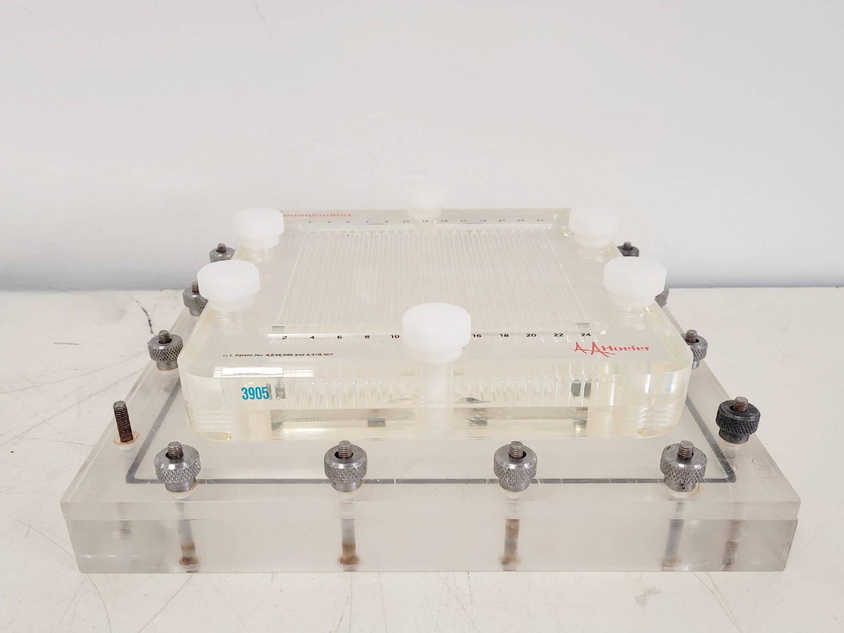 Image of Hoefer 1D Protein Separation & Blotting System (TE77X, SE600, SE250, ImmunoBlot)