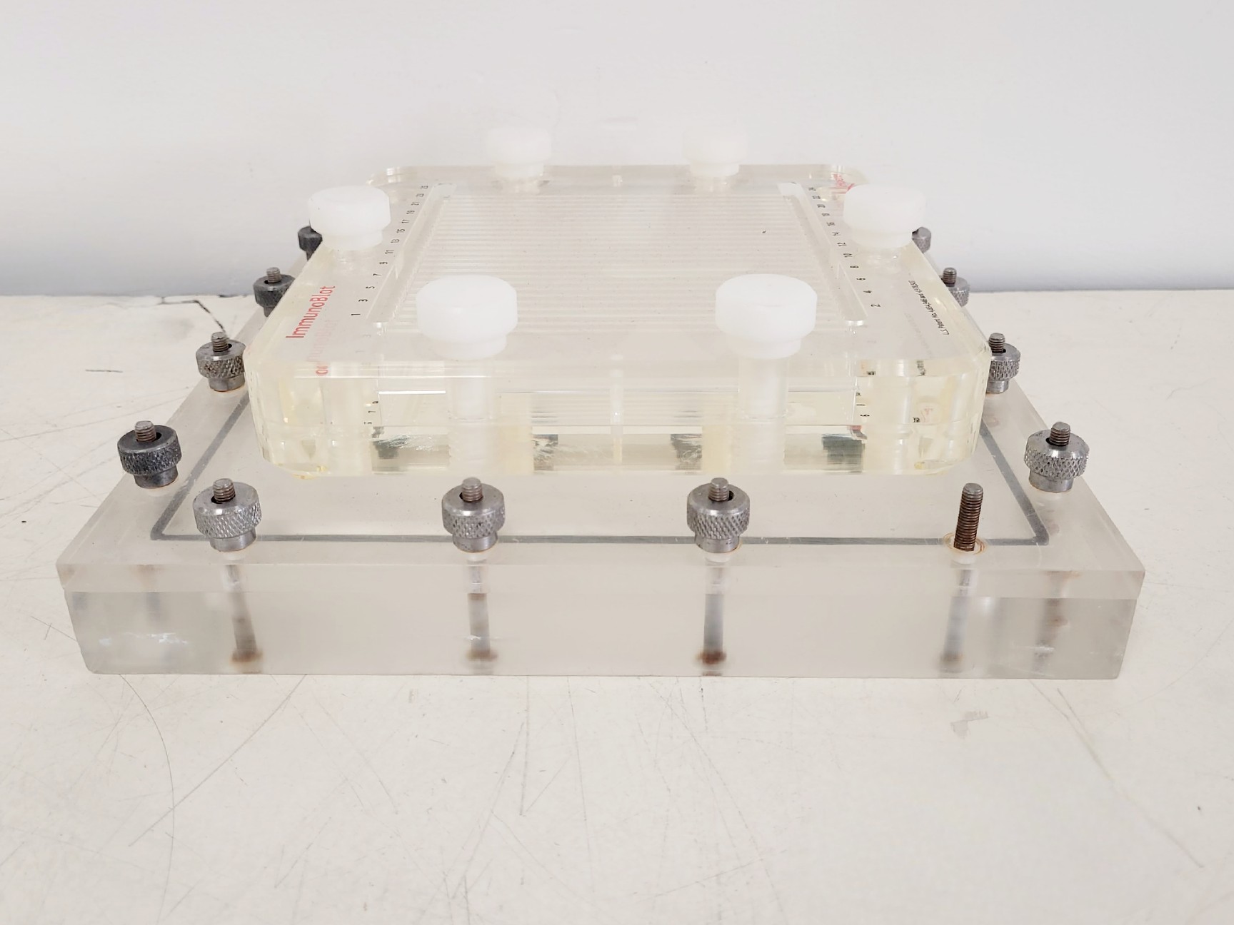 Image of Hoefer 1D Protein Separation & Blotting System (TE77X, SE600, SE250, ImmunoBlot)